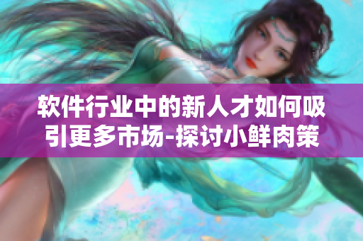 軟件行業(yè)中的新人才如何吸引更多市場(chǎng)-探討小鮮肉策略