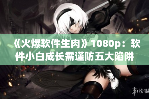 《火爆軟件生肉》1080p：軟件小白成長(zhǎng)需謹(jǐn)防五大陷阱！