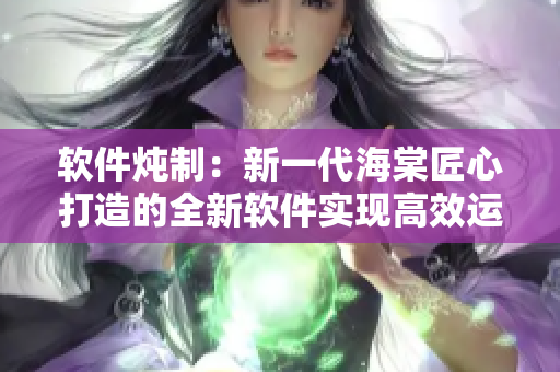 軟件燉制：新一代海棠匠心打造的全新軟件實現(xiàn)高效運行