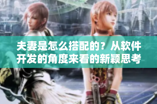 夫妻是怎么搭配的？從軟件開發(fā)的角度來看的新穎思考
