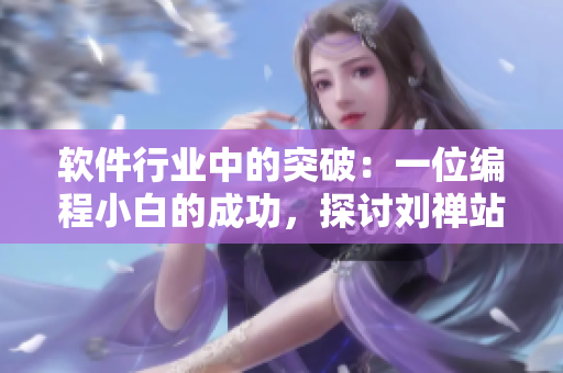 軟件行業(yè)中的突破：一位編程小白的成功，探討劉禪站在編程板凳上的啟示