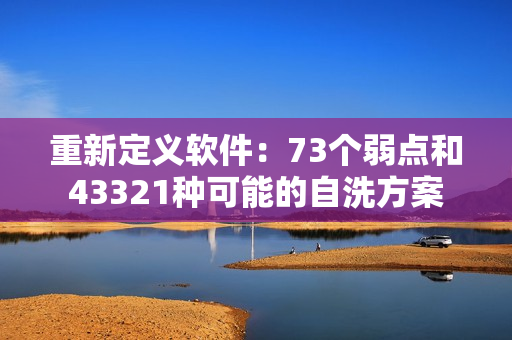重新定義軟件：73個弱點和43321種可能的自洗方案
