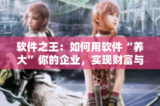 軟件之王：如何用軟件“養(yǎng)大”你的企業(yè)，實現(xiàn)財富與榮耀