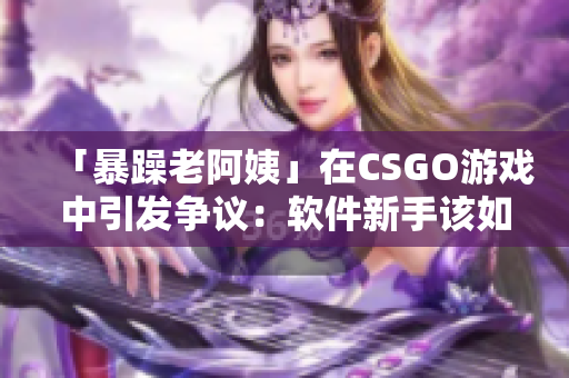 「暴躁老阿姨」在CSGO游戲中引發(fā)爭議：軟件新手該如何應(yīng)對？