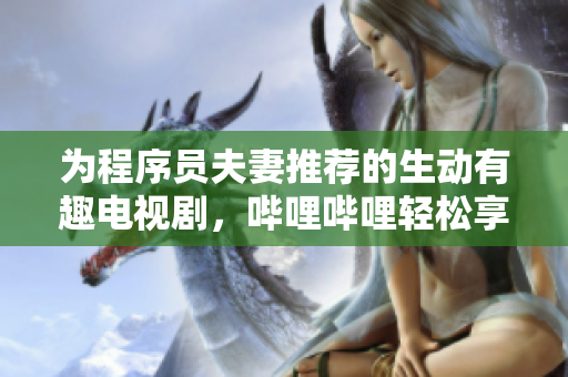 為程序員夫妻推薦的生動有趣電視劇，嗶哩嗶哩輕松享受！