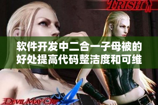 軟件開發(fā)中二合一子母被的好處提高代碼整潔度和可維護性