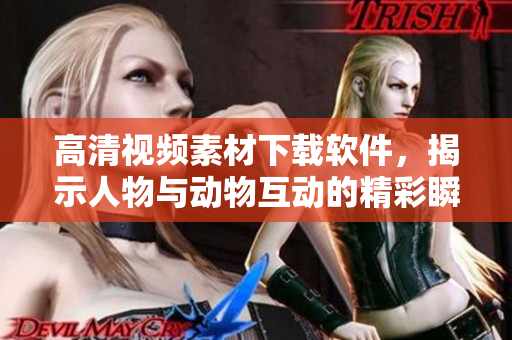 高清視頻素材下載軟件，揭示人物與動物互動的精彩瞬間