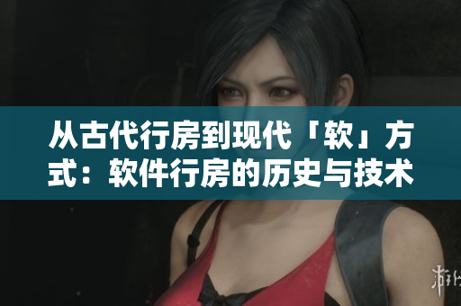 從古代行房到現(xiàn)代「軟」方式：軟件行房的歷史與技術(shù)解析