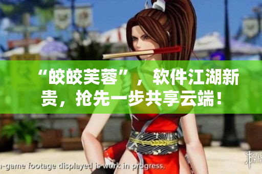“皎皎芙蓉”，軟件江湖新貴，搶先一步共享云端！