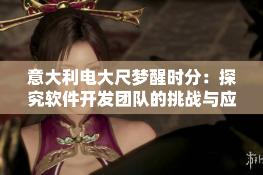 意大利電大尺夢醒時分：探究軟件開發(fā)團隊的挑戰(zhàn)與應對方法。