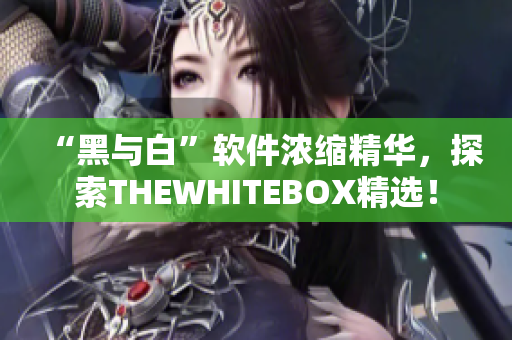 “黑與白”軟件濃縮精華，探索THEWHITEBOX精選！