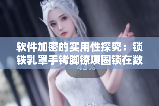 軟件加密的實(shí)用性探究：鎖鐵乳罩手銬腳鐐項(xiàng)圈鎖在數(shù)據(jù)保護(hù)中的應(yīng)用