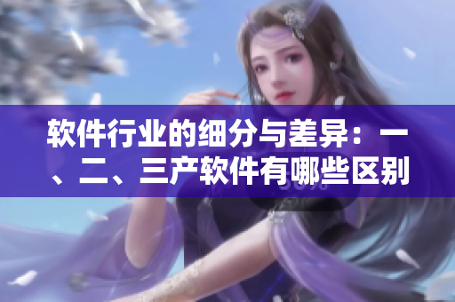 軟件行業(yè)的細(xì)分與差異：一、二、三產(chǎn)軟件有哪些區(qū)別？