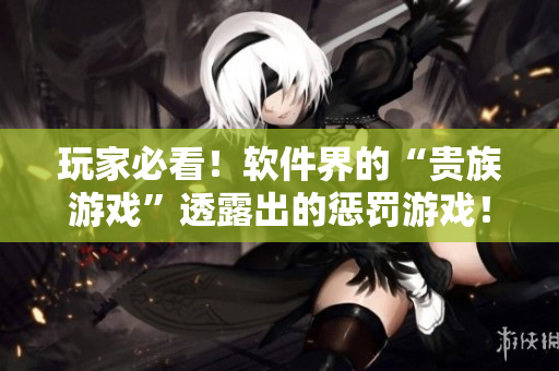 玩家必看！軟件界的“貴族游戲”透露出的懲罰游戲！
