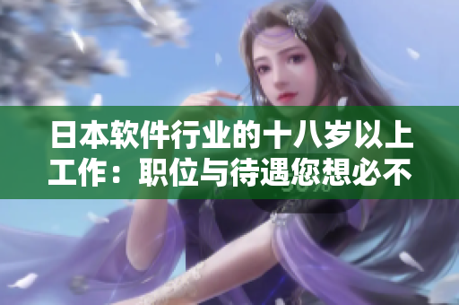 日本軟件行業(yè)的十八歲以上工作：職位與待遇您想必不敢想象！