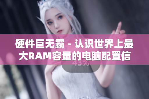 硬件巨無霸 - 認(rèn)識(shí)世界上最大RAM容量的電腦配置信息
