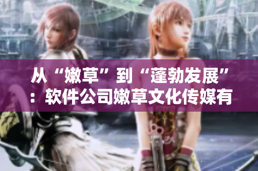 從“嫩草”到“蓬勃發(fā)展”：軟件公司嫩草文化傳媒有限公司的發(fā)展歷程