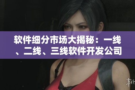 軟件細分市場大揭秘：一線、二線、三線軟件開發(fā)公司競爭分析！