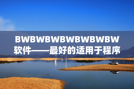 BWBWBWBWBWBWBW軟件——最好的適用于程序員的開發(fā)工具