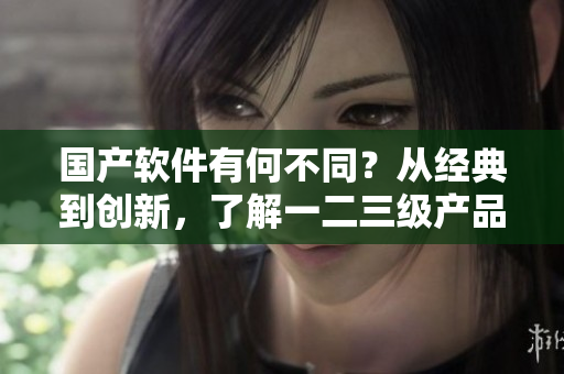 國產(chǎn)軟件有何不同？從經(jīng)典到創(chuàng)新，了解一二三級產(chǎn)品區(qū)別