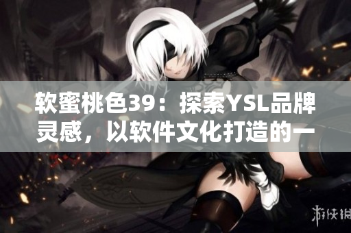軟蜜桃色39：探索YSL品牌靈感，以軟件文化打造的一款軟件界面設(shè)計