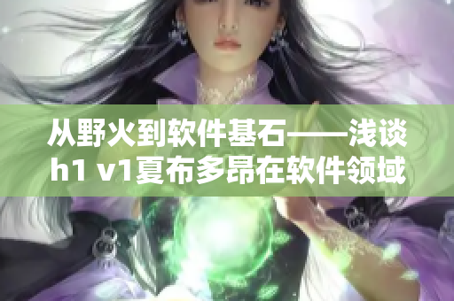 從野火到軟件基石——淺談h1 v1夏布多昂在軟件領(lǐng)域的應用與發(fā)展