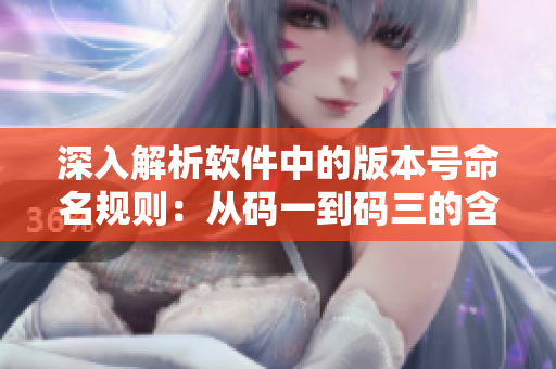 深入解析軟件中的版本號(hào)命名規(guī)則：從碼一到碼三的含義分析