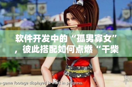 軟件開發(fā)中的“孤男寡女”，彼此搭配如何點(diǎn)燃“干柴烈火”