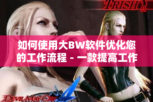 如何使用大BW軟件優(yōu)化您的工作流程 - 一款提高工作效率的必備神器