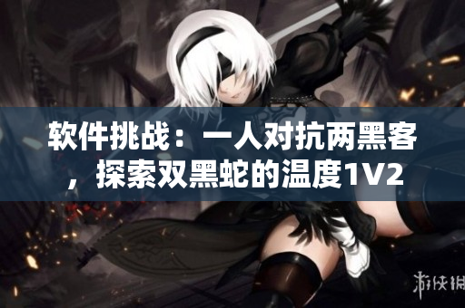 軟件挑戰(zhàn)：一人對抗兩黑客，探索雙黑蛇的溫度1V2