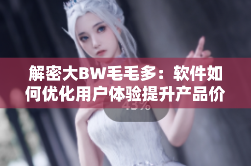 解密大BW毛毛多：軟件如何優(yōu)化用戶體驗(yàn)提升產(chǎn)品價(jià)值？