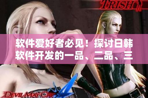 軟件愛好者必見！探討日韓軟件開發(fā)的一品、二品、三品與世界的差異