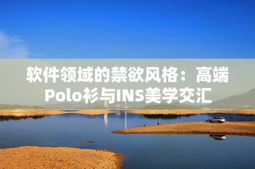 軟件領(lǐng)域的禁欲風格：高端Polo衫與INS美學交匯