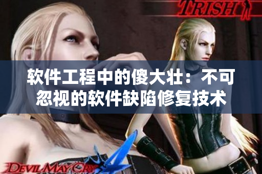 軟件工程中的傻大壯：不可忽視的軟件缺陷修復(fù)技術(shù)