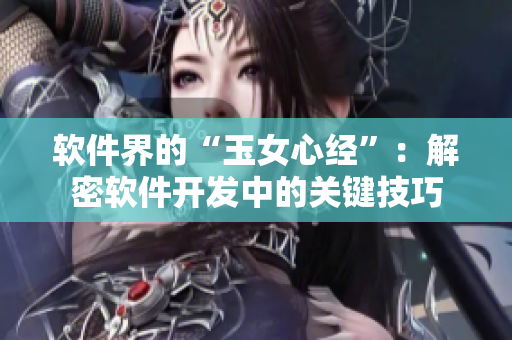 軟件界的“玉女心經(jīng)”：解密軟件開發(fā)中的關鍵技巧