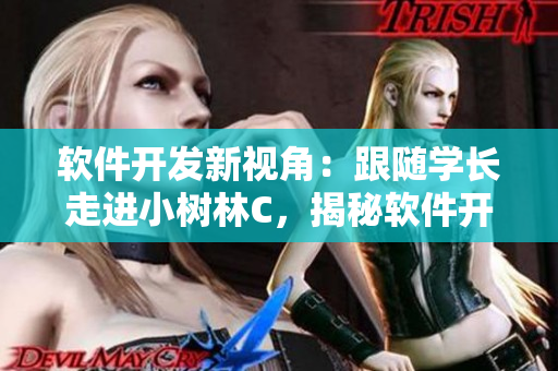 軟件開發(fā)新視角：跟隨學(xué)長走進(jìn)小樹林C，揭秘軟件開發(fā)的爽感