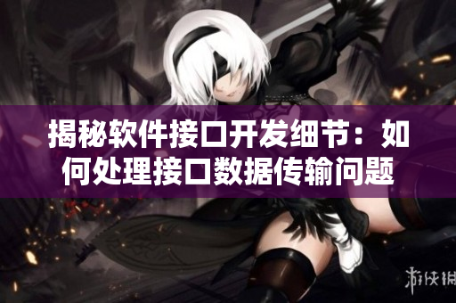 揭秘軟件接口開發(fā)細(xì)節(jié)：如何處理接口數(shù)據(jù)傳輸問題