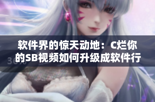 軟件界的驚天動(dòng)地：C爛你的SB視頻如何升級(jí)成軟件行業(yè)的震撼力作