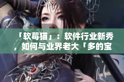 「軟莓貓」：軟件行業(yè)新秀，如何與業(yè)界老大「多的寶」競(jìng)爭(zhēng)？