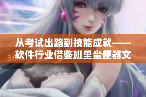 從考試出路到技能成就——軟件行業(yè)借鑒班里坐便器文化