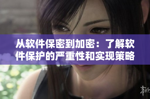 從軟件保密到加密：了解軟件保護(hù)的嚴(yán)重性和實(shí)現(xiàn)策略