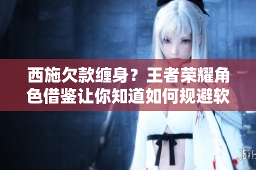 西施欠款纏身？王者榮耀角色借鑒讓你知道如何規(guī)避軟件欠款陷阱！