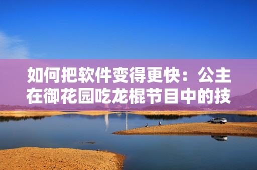 如何把軟件變得更快：公主在御花園吃龍棍節(jié)目中的技巧