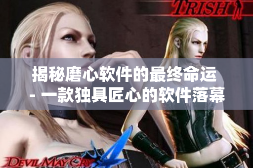 揭秘磨心軟件的最終命運 - 一款獨具匠心的軟件落幕的真相