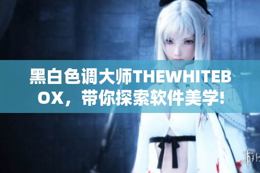 黑白色調(diào)大師THEWHITEBOX，帶你探索軟件美學(xué)!