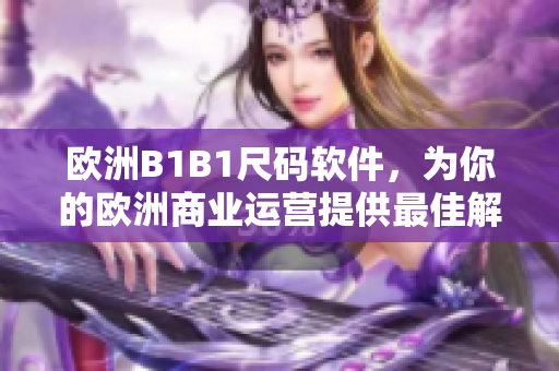 歐洲B1B1尺碼軟件，為你的歐洲商業(yè)運(yùn)營(yíng)提供最佳解決方案