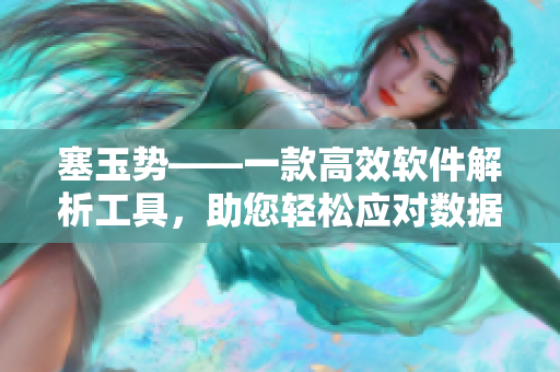 塞玉勢(shì)——一款高效軟件解析工具，助您輕松應(yīng)對(duì)數(shù)據(jù)解析難題！