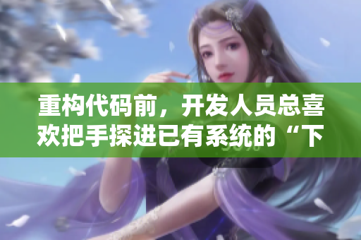 重構代碼前，開發(fā)人員總喜歡把手探進已有系統(tǒng)的“下擺”
