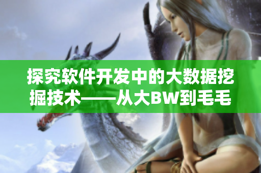 探究軟件開發(fā)中的大數(shù)據(jù)挖掘技術(shù)——從大BW到毛毛多