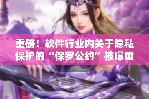 重磅！軟件行業(yè)內(nèi)關(guān)于隱私保護(hù)的“保羅公約”被曝重大疏漏